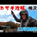 鳴沢湖の最新わかさぎ釣り　１２月の攻略とは