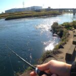 鹿児島の川ならば冬でも釣れるのか？