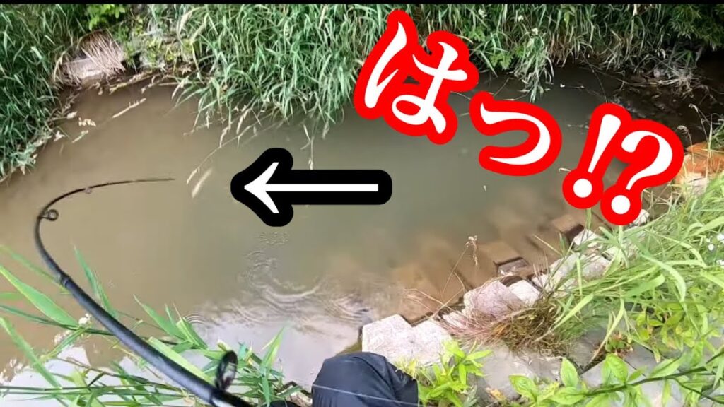 デカイニジマスが簡単に釣れる水路で魚釣り！【川釣り】