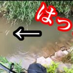 デカイニジマスが簡単に釣れる水路で魚釣り！【川釣り】