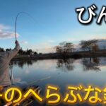びん沼墓場下でへらぶな釣り！冬のへらぶな釣り！長竿&スコープが必須になってきました！
