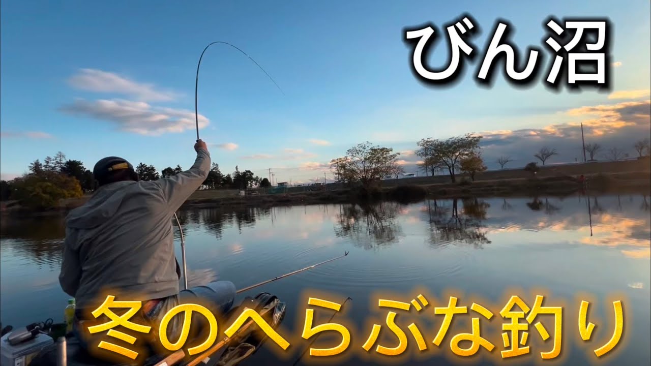 びん沼墓場下でへらぶな釣り!冬のへらぶな釣り!長竿&スコープが必須になってきました!