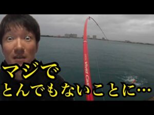 今度こそ!今度こそ!今度こそ!浜名湖大物釣りリベンジ🔥