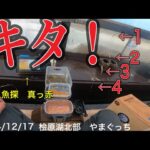 キタよ！　汚名返上！釣れるんです！#ワカサギ釣り #桧原湖ワカサギ釣り #シマノ #レイクマスター #やまぐっち