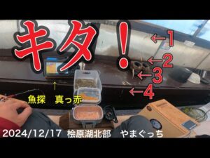 キタよ! 汚名返上!釣れるんです!#ワカサギ釣り #桧原湖ワカサギ釣り #シマノ #レイクマスター #やまぐっち