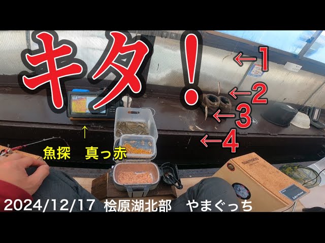 キタよ！　汚名返上！釣れるんです！#ワカサギ釣り #桧原湖ワカサギ釣り #シマノ #レイクマスター #やまぐっち
