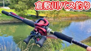 【倉敷川バス釣り】ランガンして良いポイントを見つけたので粘ってみる【車中泊釣り旅】