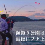 【福岡釣り】海釣り公園は最後まで何があるかわからない！！