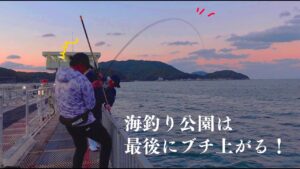 【福岡釣り】海釣り公園は最後まで何があるかわからない!!