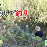 小さな水たまりで釣り【小物釣り】魚はいるのかな？