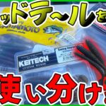 【バス釣り】シャッドテール選抜大会開催!【三河湖】