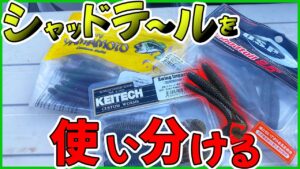【バス釣り】シャッドテール選抜大会開催!【三河湖】