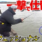 プロにかかればアノ魚も一瞬で釣れます！！