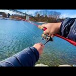 冬の管理釣り場で初心者でも超簡単に釣れるルアーはこれ!!