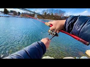 冬の管理釣り場で初心者でも超簡単に釣れるルアーはこれ!!