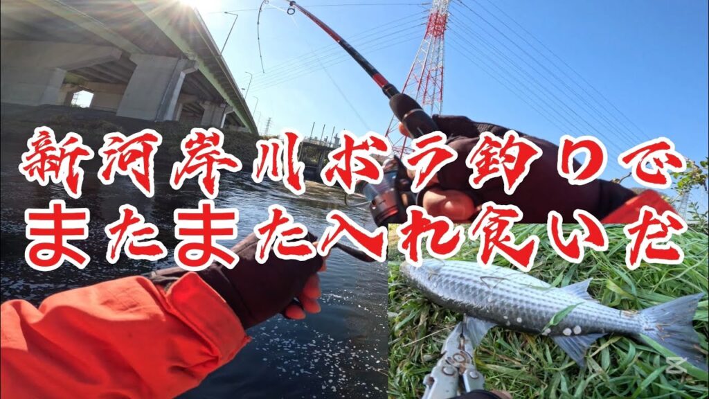 ［新河岸川ボラ釣り］ダイソーマイクロジグマジ釣れる入れ食い