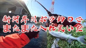 ［新河岸川ボラ釣り］ダイソーマイクロジグマジ釣れる入れ食い