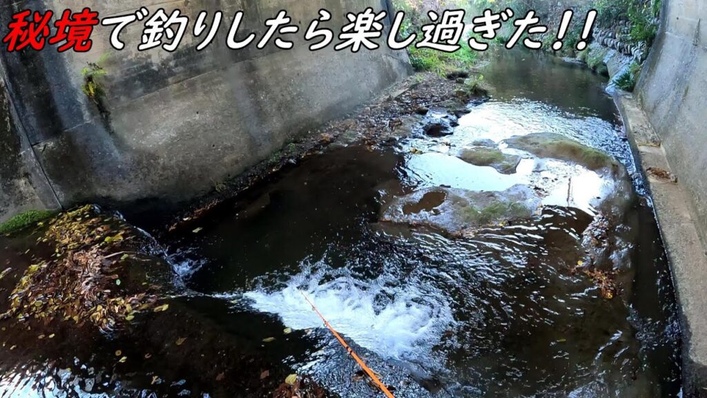 秘境で釣りしたら楽し過ぎた！！