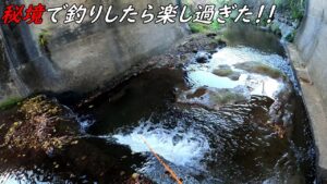 秘境で釣りしたら楽し過ぎた！！