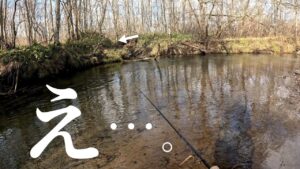 【渓流釣り】気が付いたらヤツがいる。心臓止まるって…