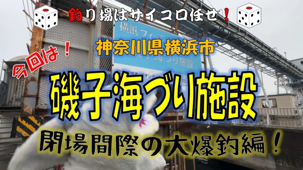 🦈磯子海づり施設🦈久しぶりに訪れました！夕方にはレギュラーサイズのアジが釣れているとのことでしたが、はたして釣果のほどはいかに！？