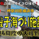🦈磯子海づり施設🦈久しぶりに訪れました！夕方にはレギュラーサイズのアジが釣れているとのことでしたが、はたして釣果のほどはいかに！？