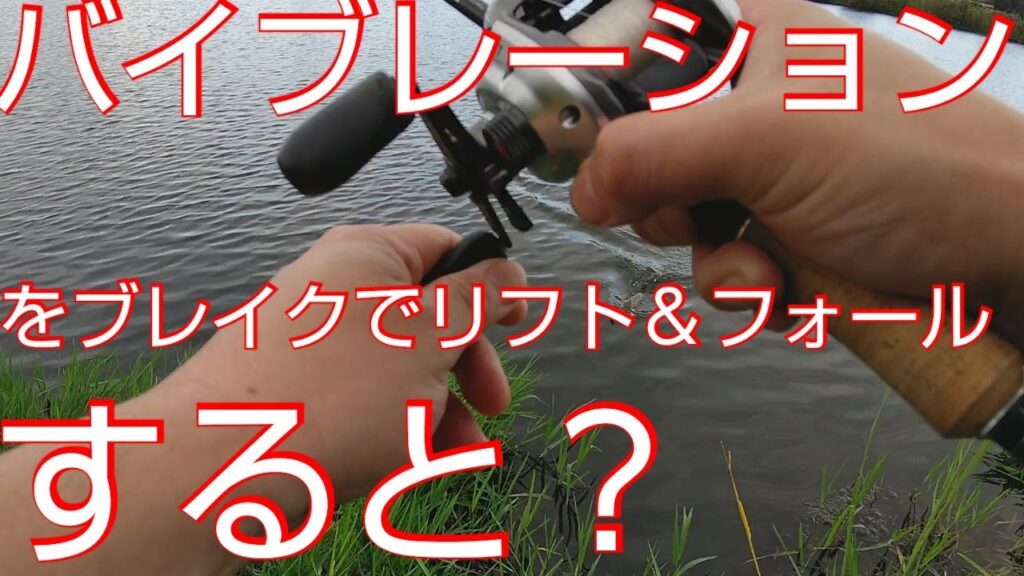 【近藤沼】【バス釣り】バイブレーションをリフト＆フォールしてたら魚が食ってきた。