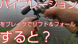 【近藤沼】【バス釣り】バイブレーションをリフト＆フォールしてたら魚が食ってきた。