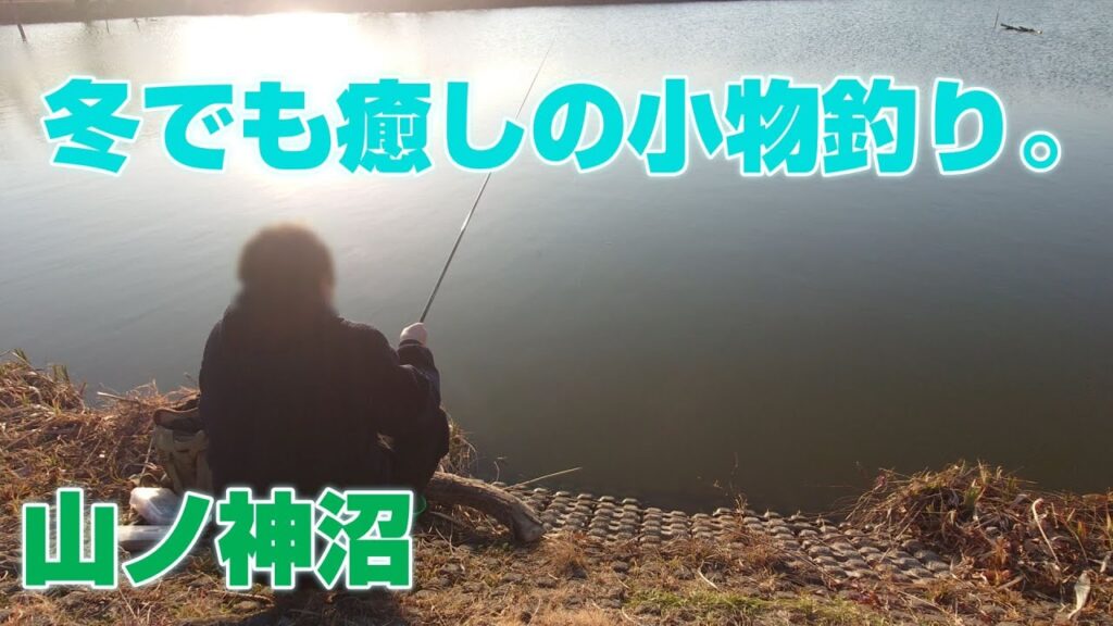 【小物釣り】沢山釣れたし、癒された。【山ノ神沼】