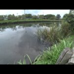 群馬・館林の野池「城沼」でバス釣り