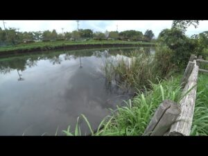 群馬・館林の野池「城沼」でバス釣り