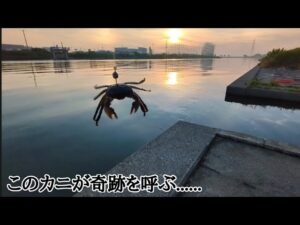 開始ガチ1投…2【浜名湖釣り】🎣奇跡です🐟