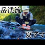 【渓流釣り】山岳渓流に晩夏のアマゴを求めて