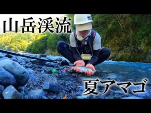 【渓流釣り】山岳渓流に晩夏のアマゴを求めて