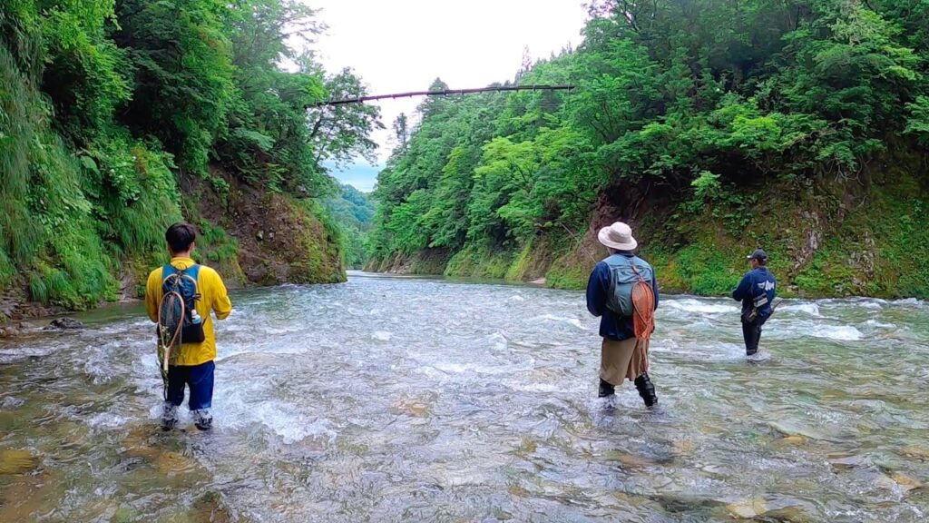 大雨濁流翌日のヤマメが凄すぎる！！！