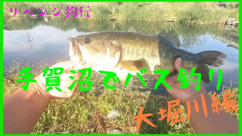 【バス釣り】手賀沼で大物釣れました❗　大堀川　＃バス釣り　＃手賀沼　＃トップウォーター
