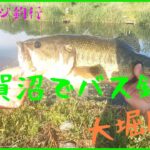 【バス釣り】手賀沼で大物釣れました❗　大堀川　＃バス釣り　＃手賀沼　＃トップウォーター