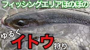 【管理釣り場でゆるくイトウを釣る動画】フィッシングエリアほのぼの釣行【エリアトラウト管釣り 釣り】