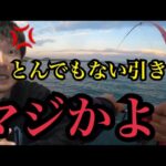 今度こそ！今度こそ！今度こそ！今度こそ！浜名湖大物釣りリベンジ🔥