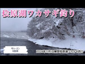 桧原湖ワカサギ釣り　#ワカサギ釣り #ワカサギ #桧原湖 #釣り