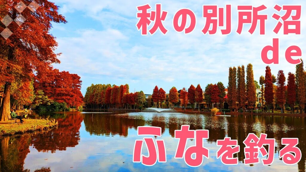 【ウキ釣りだいちゃん】紅葉の別所沼公園（埼玉県さいたま市）今日もフナ釣り日和！