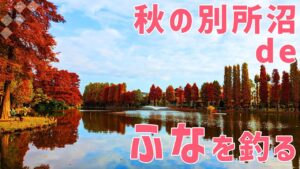 【ウキ釣りだいちゃん】紅葉の別所沼公園（埼玉県さいたま市）今日もフナ釣り日和！