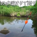 川の横の水溜まりで釣り