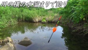 川の横の水溜まりで釣り