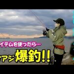 【アジング】真冬の海で尺アジを狙う!! 新アイテムで爆釣して記録を更新✨