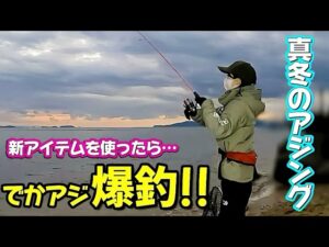 【アジング】真冬の海で尺アジを狙う!! 新アイテムで爆釣して記録を更新✨