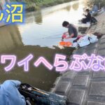 びん沼三本木でワイワイへらぶな釣り