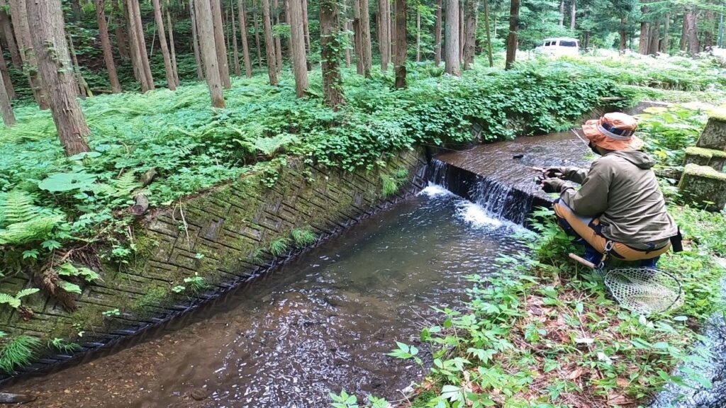 山道脇の渇水した静かな河川の落ち込みにて