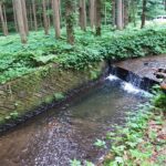 山道脇の渇水した静かな河川の落ち込みにて