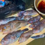 ルール:釣れた魚は全て煮付けにする